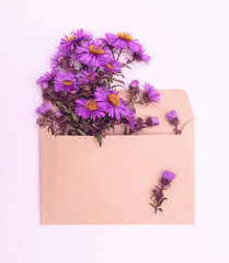 Bouquet of purple flowers in an envelope. Greeting card.