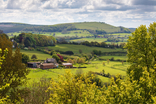 View from Shaftesbury over Cranborne Chase AONB (Area of Outstanding Natural Beauty) scenery to Melbury Beacon, Shaftesbury, Dorset