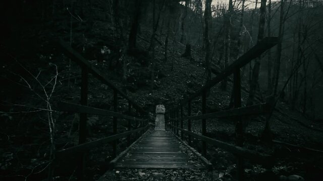 Horror or thriller scene of mysterious woman in white dress at the bridge