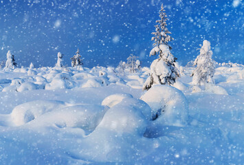 Wonderful Panoramic Landscape of Northern Winter Nature