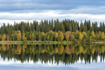 Fototapeta na wymiar Calm waters of a Swedish lake near Kiruna reflect the encircling evergreens and autumnal trees in a peaceful, symmetrical embrace.