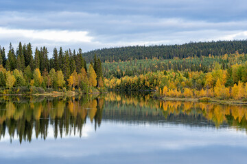 Serene Swedish Lake Amidst Autumnal Forest. A placid lake perfectly framed by an array of trees showcasing their autumn colors, capturing the essence of Swedish beauty