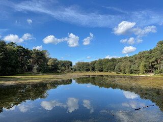 Forest reflection in a lake around Haaksbergen