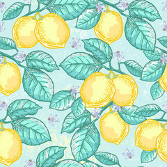 Seamless vector pattern lemon, leaves, flowers on a gentle background. Citruses in doodle style. Sketch of fresh tropical fruits, healthy food, lemonade. A repeating sample with a retro effect.