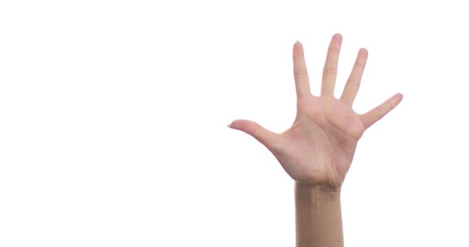 Close-up of a woman's hand with a manicure, isolated on a white background, raised up, counting from 0 to 5. The woman shows a fist, then one, two, three, four, five fingers. Signs and symbols.