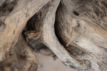 Obraz premium wood and sand