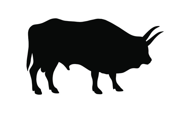 Bull silhouette on a white background. Vector illustration.