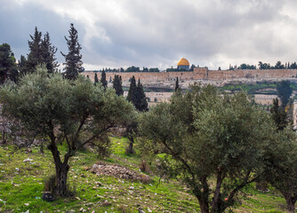 Cityscape of Jerusalem seen from the real Garden of Gethsemane