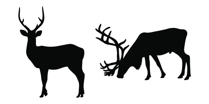 Deer and doe silhouettes. Vector illustration.
