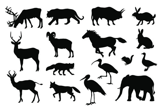 Set of animal silhouettes. Vector illustration.
