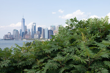 Green Plants on Outlook Hill on Governors Island with the Lower Manhattan Skyline in the background in New York City