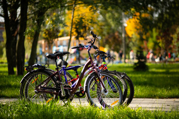 Fototapeta na wymiar bike in the park, bike race, bike marathon, cycling