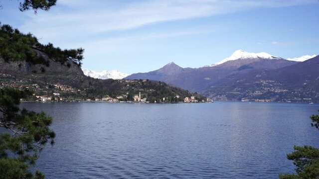 Shore of Lake Como through the branches of coniferous trees. Italy