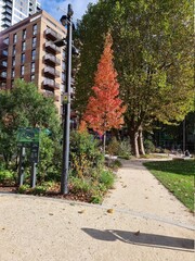 bicycle path in park