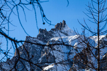 alpine peak among the dead branches