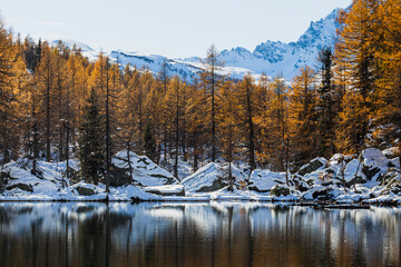 breathtaking mountain panorama with lake and larch trees
