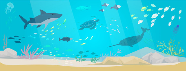 Underwater landscape with sea creatures. Large predatory marine mammals, killer whale and narwhal in ocean. Fish and marine life swimming in salty sea water. Whales and fishes, aquatic world