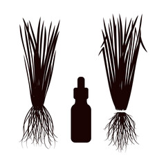 Vetiver. Leaves, root, oil. On a white background.