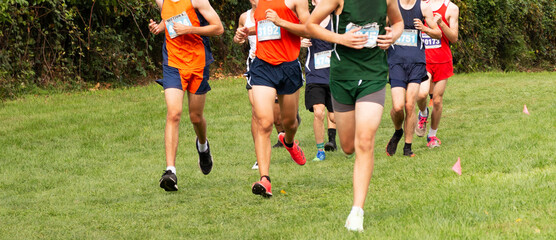 Group of boys running a 5K race on grass during a cross country competition