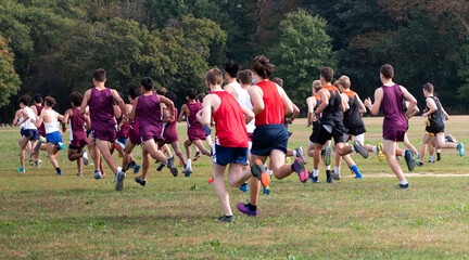 Rear view of the start of a boys cross country race on a grass field at Van Cortlandt Park in the...