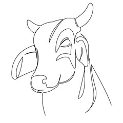 cow sacred animal