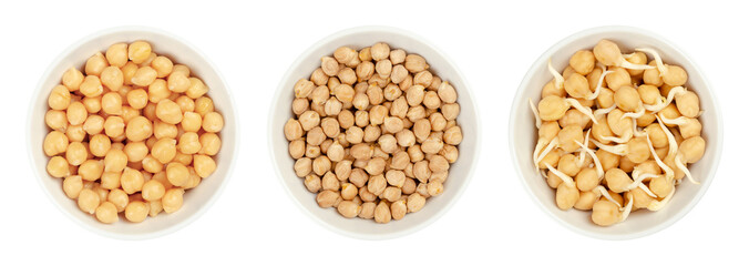 Boiled, dried and sprouted chickpeas, in white bowls. Cooked, raw and germinated chick peas, high in protein seeds of Cicer arietinum, a legume, also known as garbanzo beans or gram. Macro food photo.