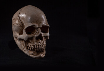 Hand-crafted plaster skull of a human