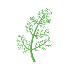 Dill branch isolated on white. Food seasoning vector illustration. Healthy greens for salad. Herb