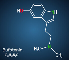 Bufotenin, 5-HO-DMT, bufotenine molecule. It is alkaloid, tryptamine derivative, hallucinogenic serotonin analog, found in toad skins, mushrooms. Structural chemical formula, dark blue background