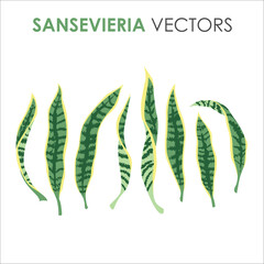 Collection set of green tropical leaves vector