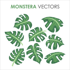 Collection set of green tropical leaves vector