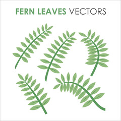 Collection set of green tropical leaves vector