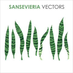 Collection set of green tropical leaves vector