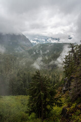 Magnificent mountain landscape around Mount Rainier National Park