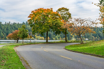 Autumn Seattle Street 3