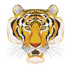 Ilustración digital de cabeza de tigre sobre fondo blanco. Trazos de acuarela. Animales del Horóscopo chino