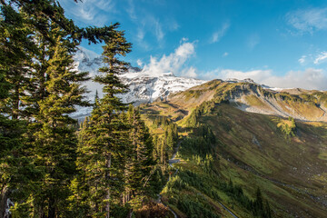 View on the magnificent Mount Rainier from Paradise Vista trail