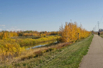 Fototapeta na wymiar Autumn Scenery at Pylypow Wetlands
