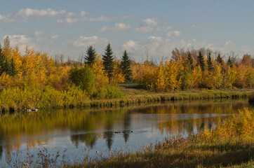 Pylypow Wetlands on a Clear Autumn Day