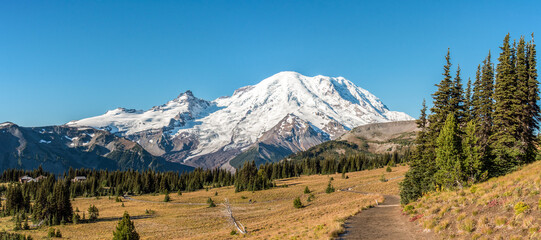 Cloudless view on Mt Rainier from Mt Fremont Lookout Trail - obrazy, fototapety, plakaty