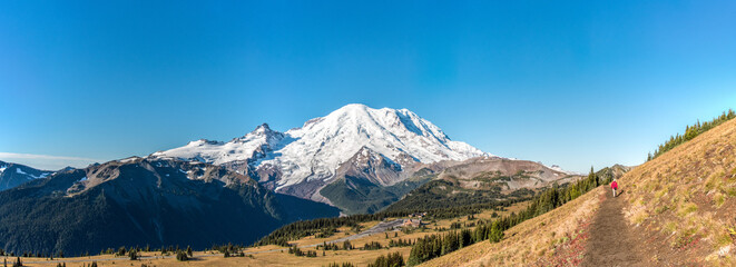 Fototapeta premium Cloudless view on Mt Rainier from Mt Fremont Lookout Trail