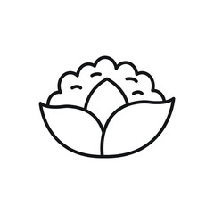 Cauliflower line icon or vegetable concept