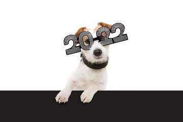 Dog new year with paws over black edge. wearing  glasses with the inscription 2022 on  white...