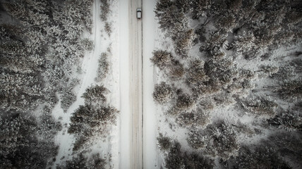 Natural white background. Winter road in the forest after a snowfall.