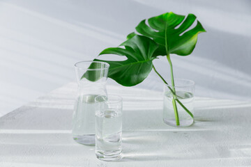Morning glass and jar of clean water with two big green leaves