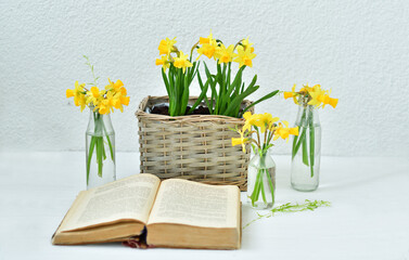 Opened old book, Cup of Tea and Yellow Daffodils on Light wooden Background. Spring cozy morning