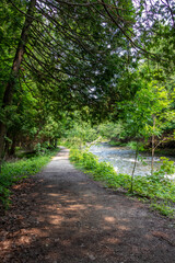 Trail in the forest at the river