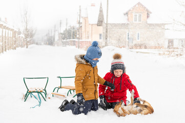 Two twin brothers on a walk with their friend, a red dog. Cold snowy winter day. Children play with...