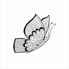 Hand-drawn butterfly doodle element for coloring, invitation, postcard. Black and white vector image