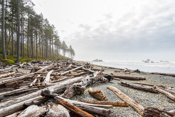 Fototapeta na wymiar Famous Ruby Beach on the Pacific coast, Olympic National Park